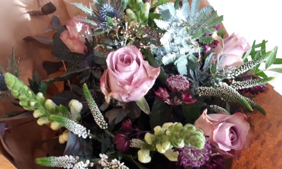 Winter pinks